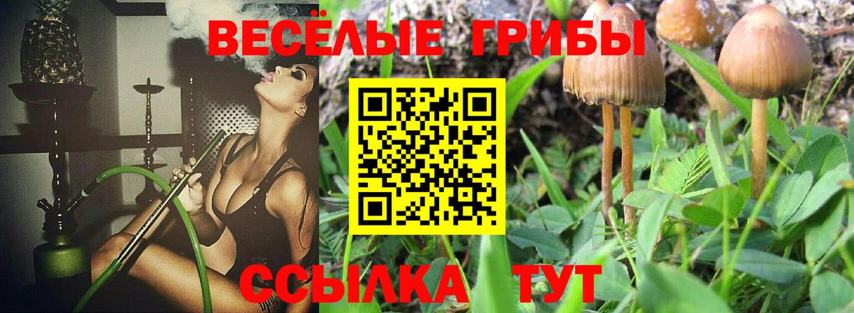 Псилоцибиновые грибы прущие грибы Касимов